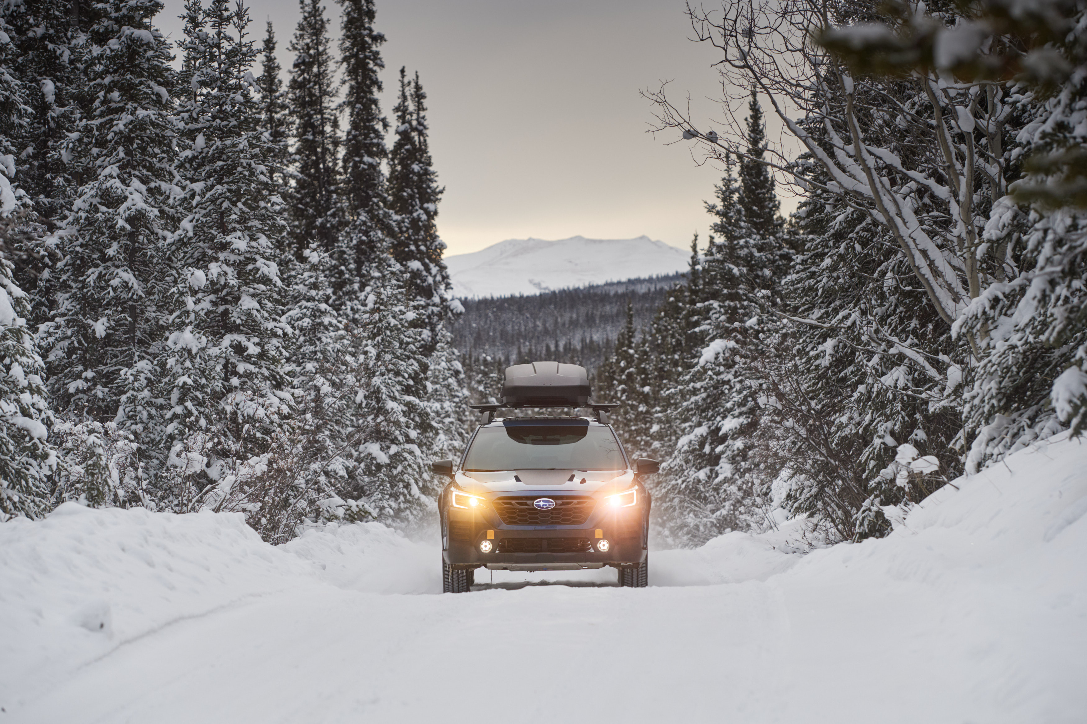 21-12-01Subaru_01524
