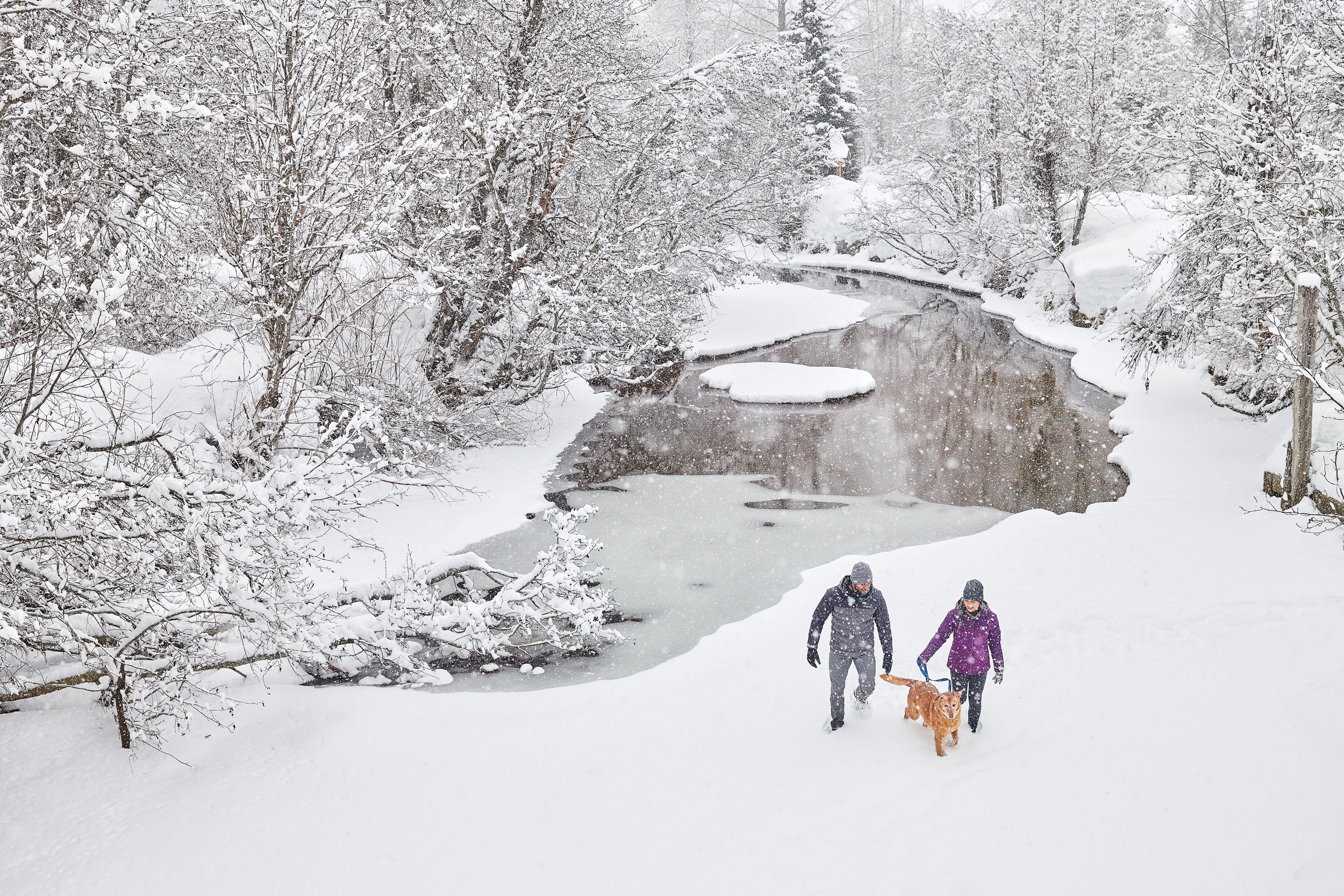 F19_TRAIL_BJ_00838