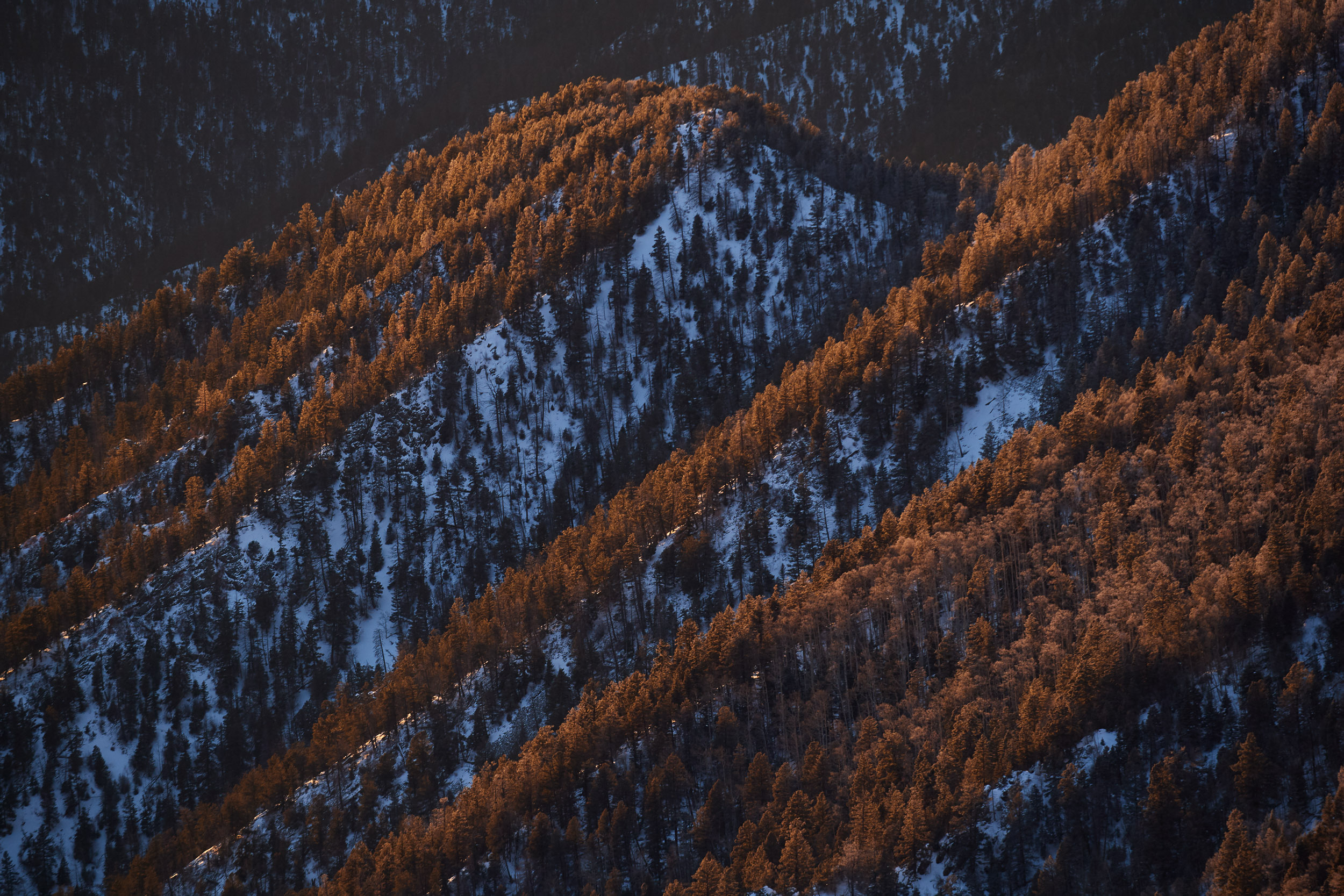 _ND551841